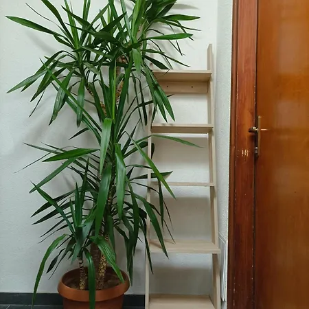 Rooms&apartment Hegic